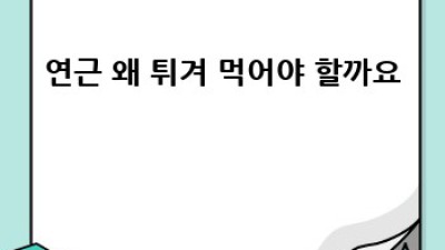 겉바속촉! 연근튀김 황금레시피 ✨ 영양만점 별미