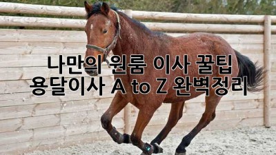 나만의 원룸 이사 꿀팁🍯 용달이사 A to Z 완벽정리!