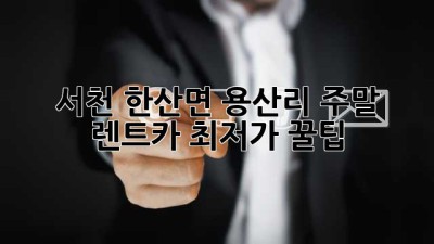 서천 한산면 용산리 주말 렌트카 최저가 꿀팁!