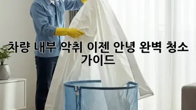 차량 내부 악취, 이젠 안녕! 완벽 청소 가이드
